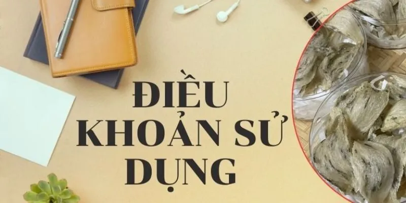 Điều khoản sử dụng MB66 Là Gì?